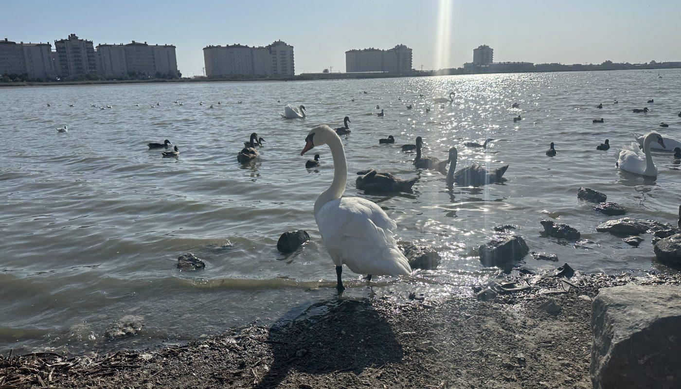 Евпатория: город солнца, моря и истории