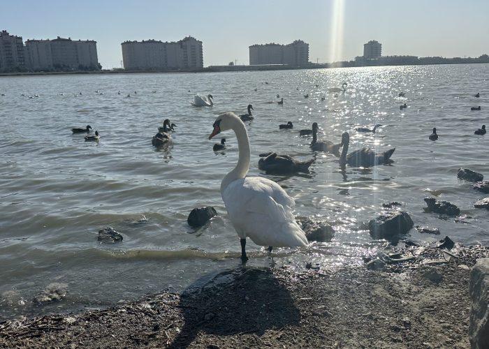 Евпатория: город солнца, моря и истории